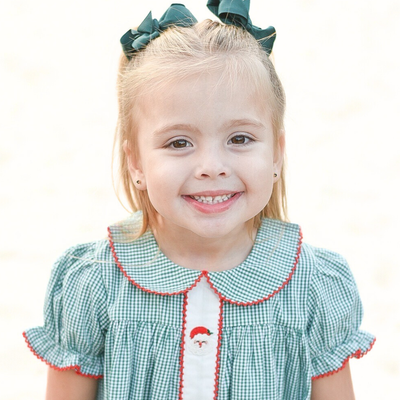 Embroidered Santa Collared Dress - Dark Green Mini Gingham