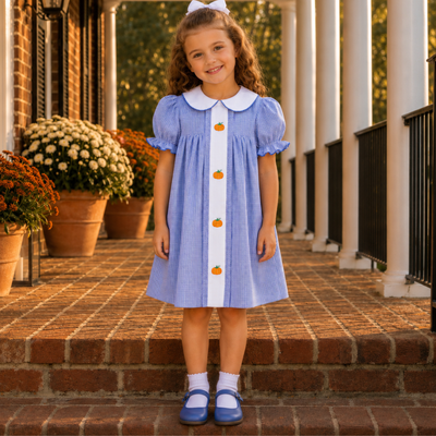 Embroidered Pumpkins Collared Dress - Blue Gingham